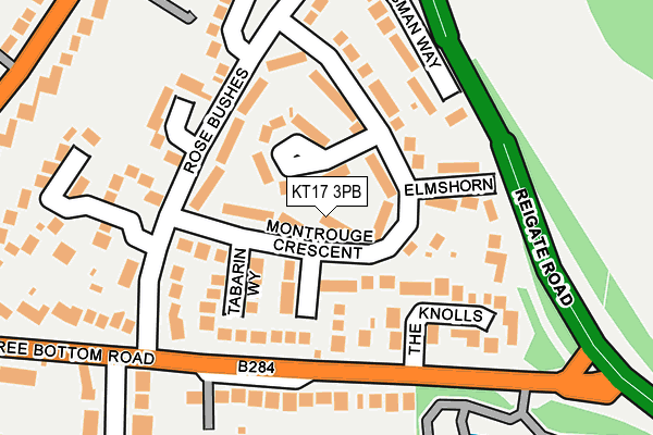 KT17 3PB map - OS OpenMap – Local (Ordnance Survey)