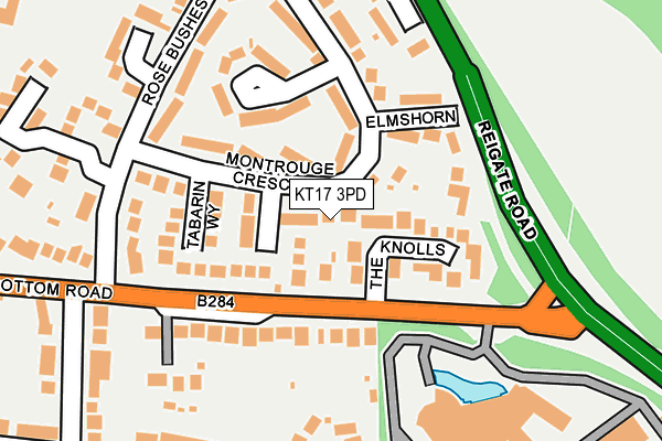 KT17 3PD map - OS OpenMap – Local (Ordnance Survey)