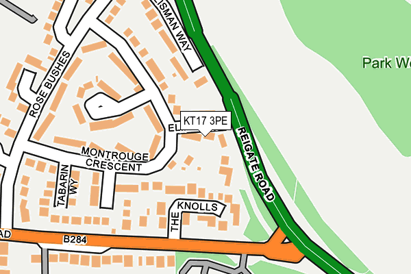 KT17 3PE map - OS OpenMap – Local (Ordnance Survey)