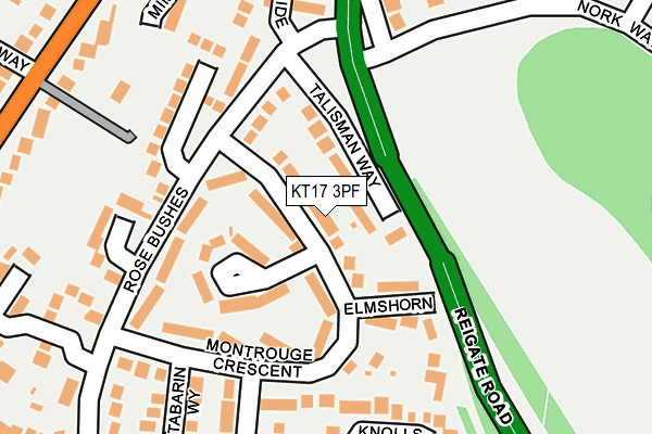 KT17 3PF map - OS OpenMap – Local (Ordnance Survey)