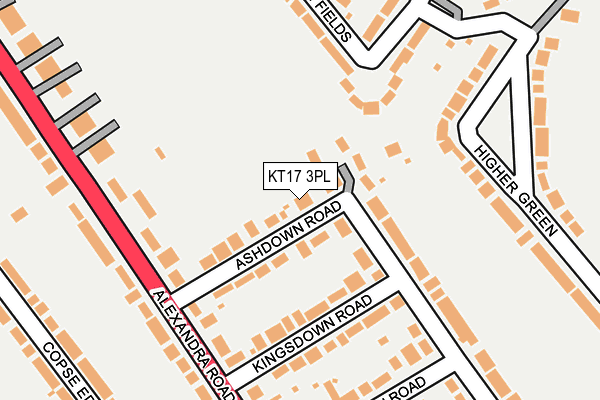 KT17 3PL map - OS OpenMap – Local (Ordnance Survey)