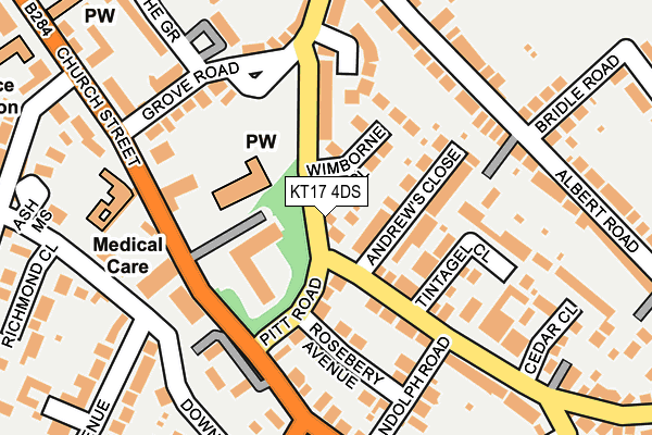KT17 4DS map - OS OpenMap – Local (Ordnance Survey)