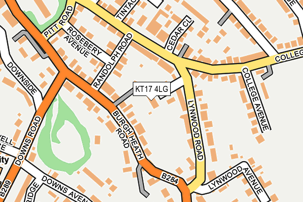 KT17 4LG map - OS OpenMap – Local (Ordnance Survey)