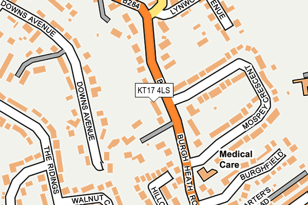 KT17 4LS map - OS OpenMap – Local (Ordnance Survey)