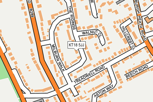 KT18 5JJ map - OS OpenMap – Local (Ordnance Survey)
