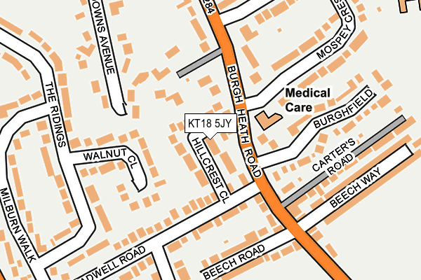 KT18 5JY map - OS OpenMap – Local (Ordnance Survey)