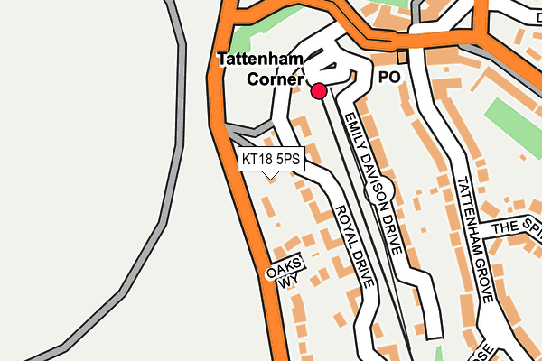 KT18 5PS map - OS OpenMap – Local (Ordnance Survey)