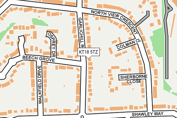 KT18 5TZ map - OS OpenMap – Local (Ordnance Survey)