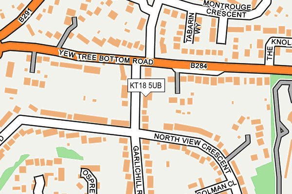 KT18 5UB map - OS OpenMap – Local (Ordnance Survey)