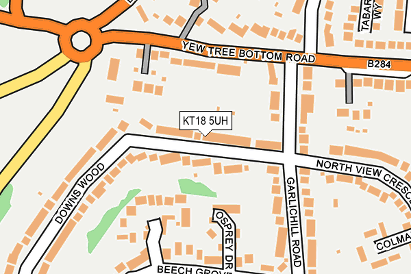 KT18 5UH map - OS OpenMap – Local (Ordnance Survey)
