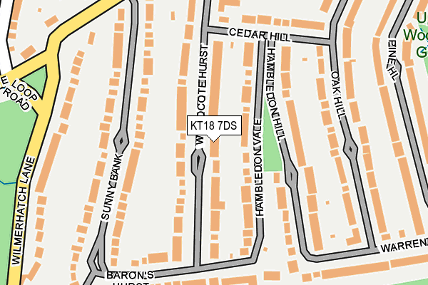 KT18 7DS map - OS OpenMap – Local (Ordnance Survey)
