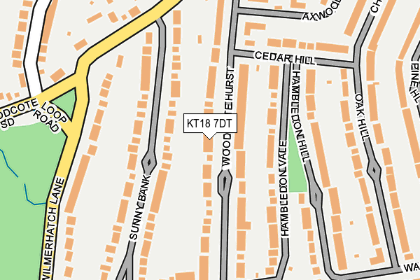 KT18 7DT map - OS OpenMap – Local (Ordnance Survey)