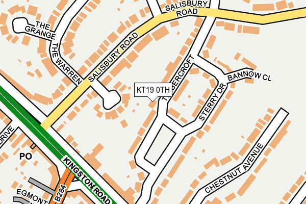 KT19 0TH map - OS OpenMap – Local (Ordnance Survey)