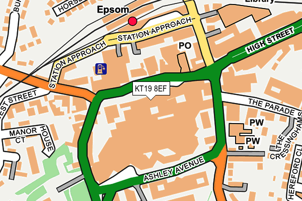 KT19 8EF map - OS OpenMap – Local (Ordnance Survey)
