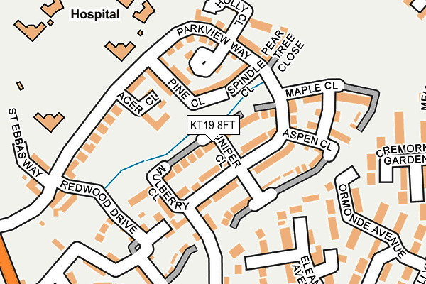KT19 8FT map - OS OpenMap – Local (Ordnance Survey)