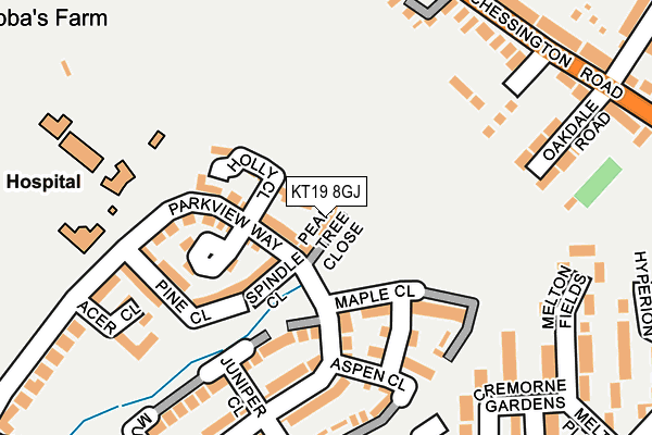 KT19 8GJ map - OS OpenMap – Local (Ordnance Survey)
