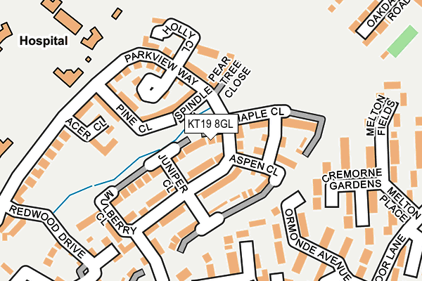 KT19 8GL map - OS OpenMap – Local (Ordnance Survey)