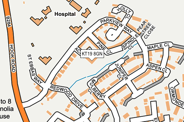 KT19 8GN map - OS OpenMap – Local (Ordnance Survey)