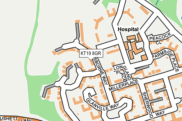 KT19 8GR map - OS OpenMap – Local (Ordnance Survey)