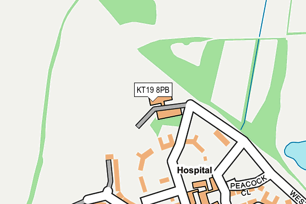 KT19 8PB map - OS OpenMap – Local (Ordnance Survey)