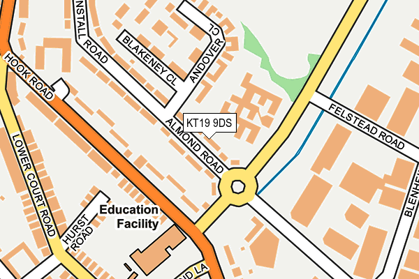 KT19 9DS map - OS OpenMap – Local (Ordnance Survey)
