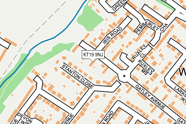 KT19 9NJ map - OS OpenMap – Local (Ordnance Survey)