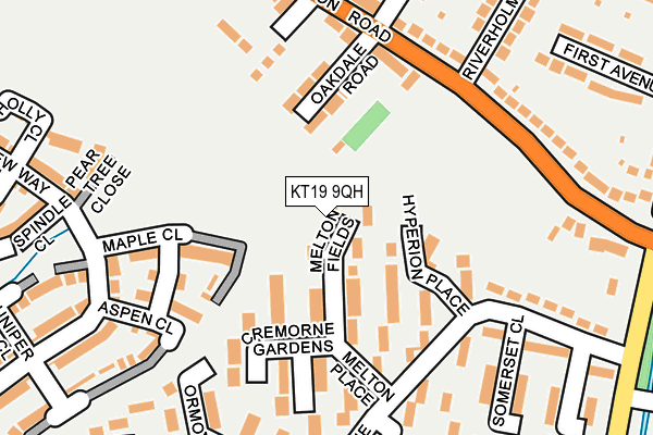 KT19 9QH map - OS OpenMap – Local (Ordnance Survey)