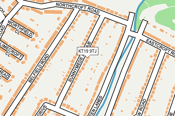 KT19 9TJ map - OS OpenMap – Local (Ordnance Survey)