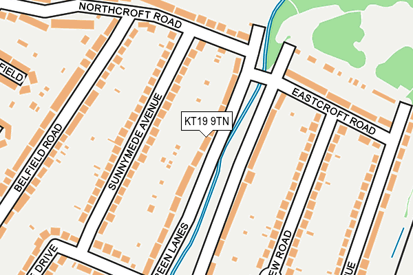 KT19 9TN map - OS OpenMap – Local (Ordnance Survey)
