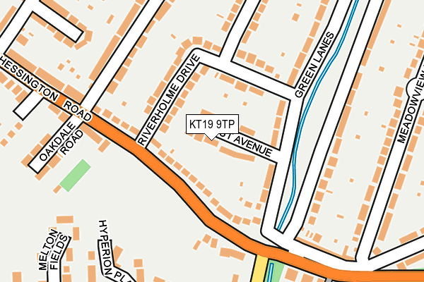 KT19 9TP map - OS OpenMap – Local (Ordnance Survey)