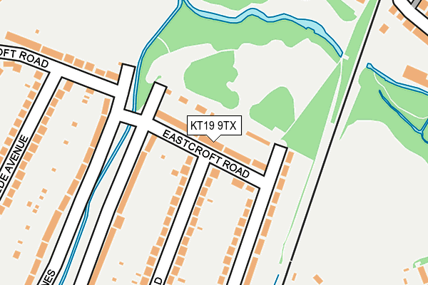 KT19 9TX map - OS OpenMap – Local (Ordnance Survey)