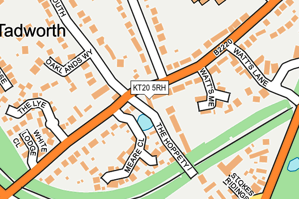KT20 5RH map - OS OpenMap – Local (Ordnance Survey)