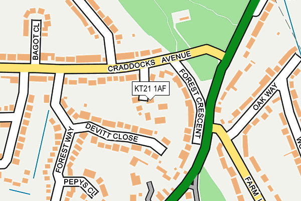 KT21 1AF map - OS OpenMap – Local (Ordnance Survey)