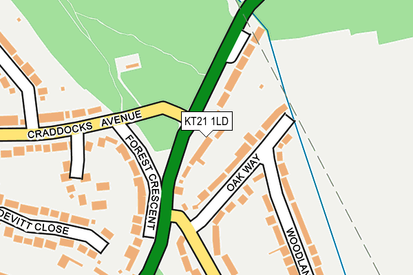 KT21 1LD map - OS OpenMap – Local (Ordnance Survey)