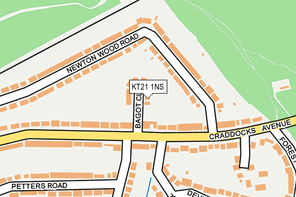 KT21 1NS map - OS OpenMap – Local (Ordnance Survey)