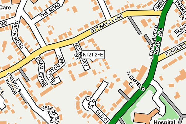 KT21 2FE map - OS OpenMap – Local (Ordnance Survey)