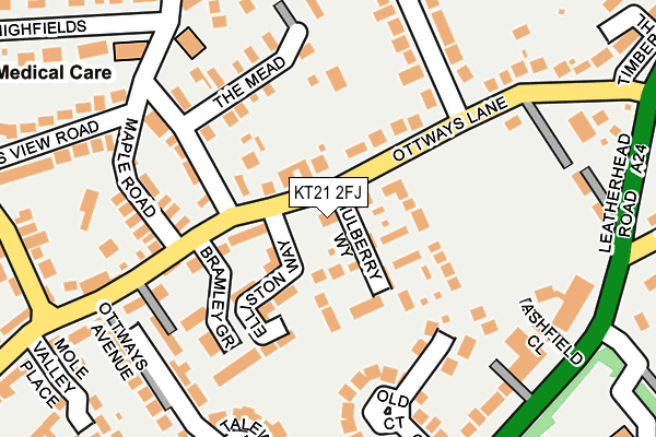 KT21 2FJ map - OS OpenMap – Local (Ordnance Survey)