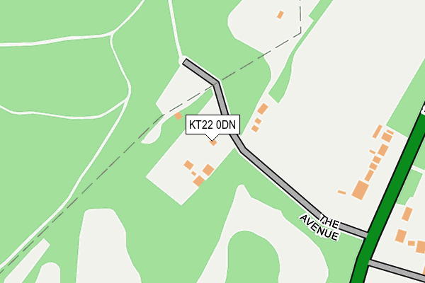 KT22 0DN map - OS OpenMap – Local (Ordnance Survey)