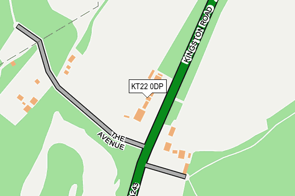 KT22 0DP map - OS OpenMap – Local (Ordnance Survey)