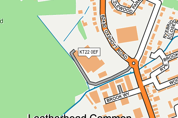 KT22 0EF map - OS OpenMap – Local (Ordnance Survey)