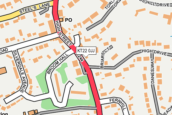 KT22 0JJ map - OS OpenMap – Local (Ordnance Survey)