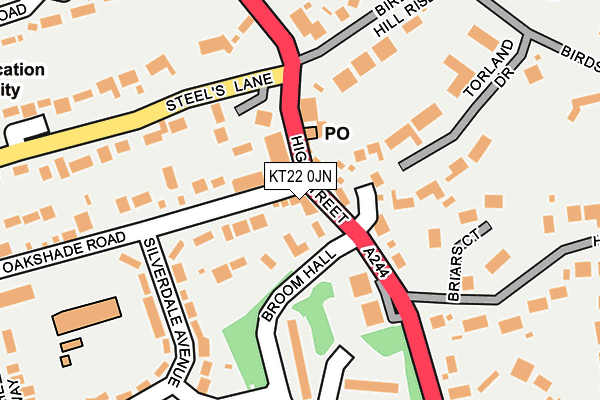 KT22 0JN map - OS OpenMap – Local (Ordnance Survey)