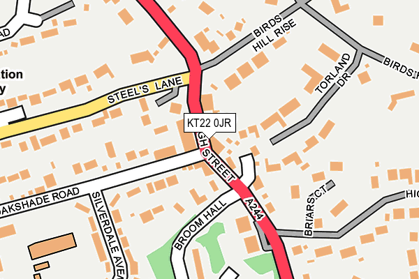 KT22 0JR map - OS OpenMap – Local (Ordnance Survey)