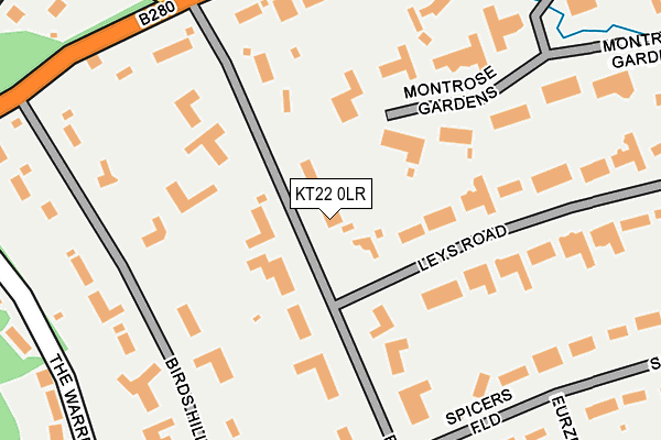 KT22 0LR map - OS OpenMap – Local (Ordnance Survey)