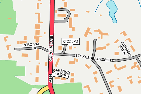 KT22 0PD map - OS OpenMap – Local (Ordnance Survey)