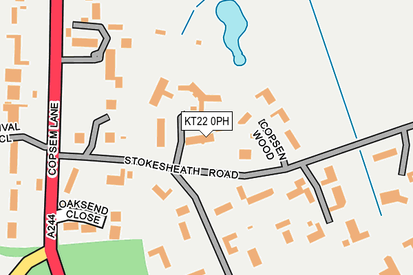 KT22 0PH map - OS OpenMap – Local (Ordnance Survey)