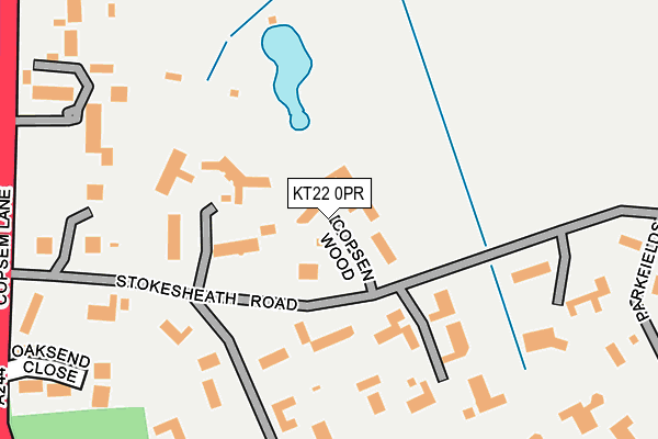 KT22 0PR map - OS OpenMap – Local (Ordnance Survey)