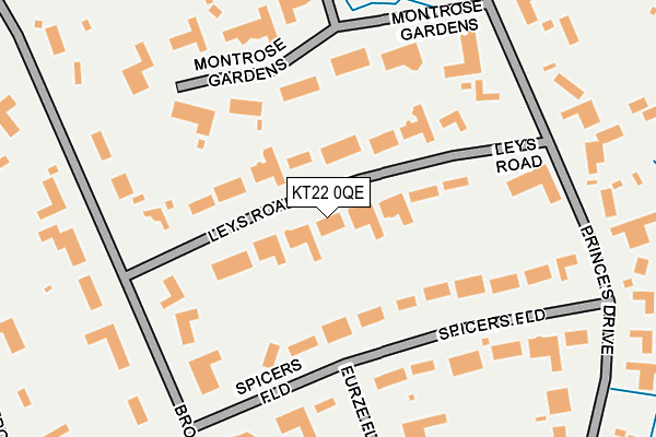 KT22 0QE map - OS OpenMap – Local (Ordnance Survey)