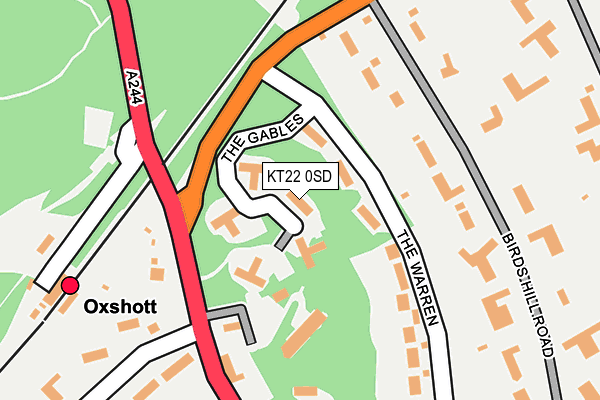 KT22 0SD map - OS OpenMap – Local (Ordnance Survey)