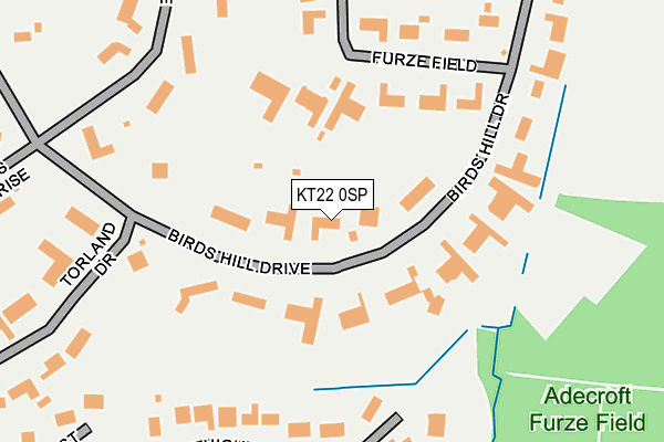 KT22 0SP map - OS OpenMap – Local (Ordnance Survey)